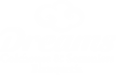 Dreams colchones